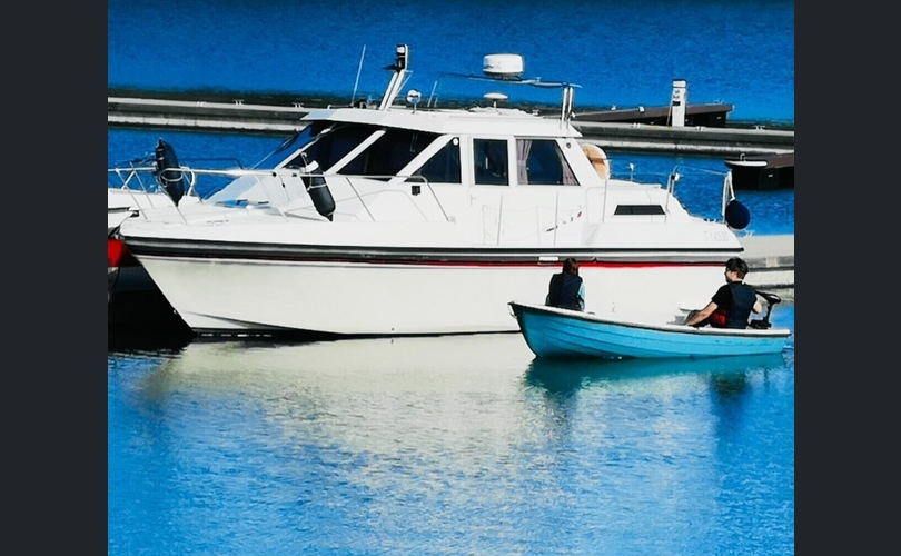 Sterna Muu malli-kuva-6